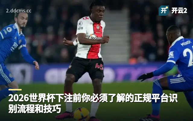 2026世界杯下注前你必须了解的正规平台识别流程和技巧