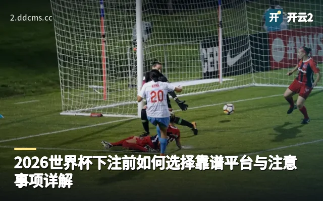 2026世界杯下注前如何选择靠谱平台与注意事项详解