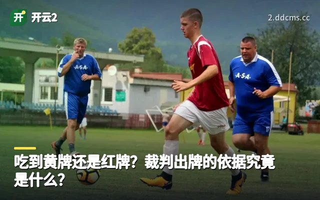 吃到黄牌还是红牌？裁判出牌的依据究竟是什么？